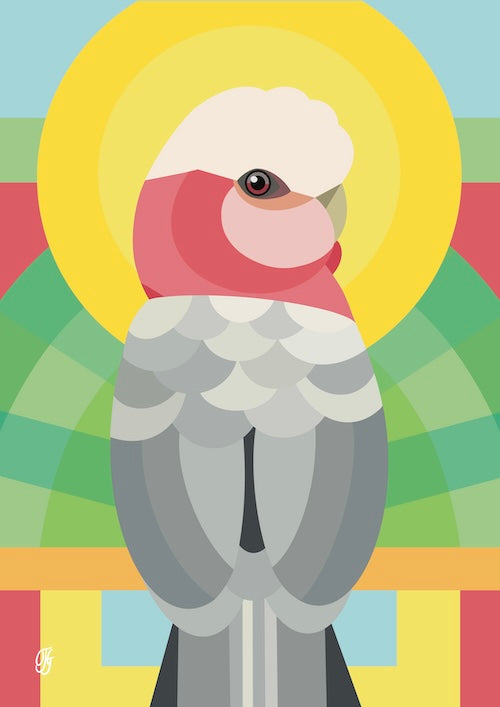 Colour me happy - Galah