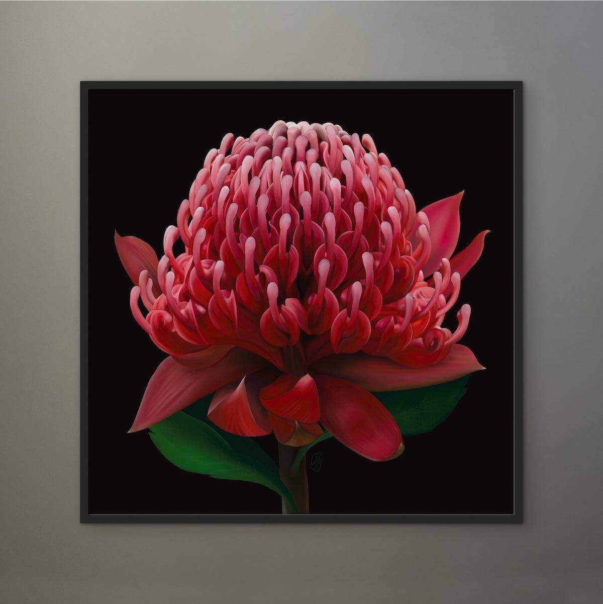 Wonderfully Waratah