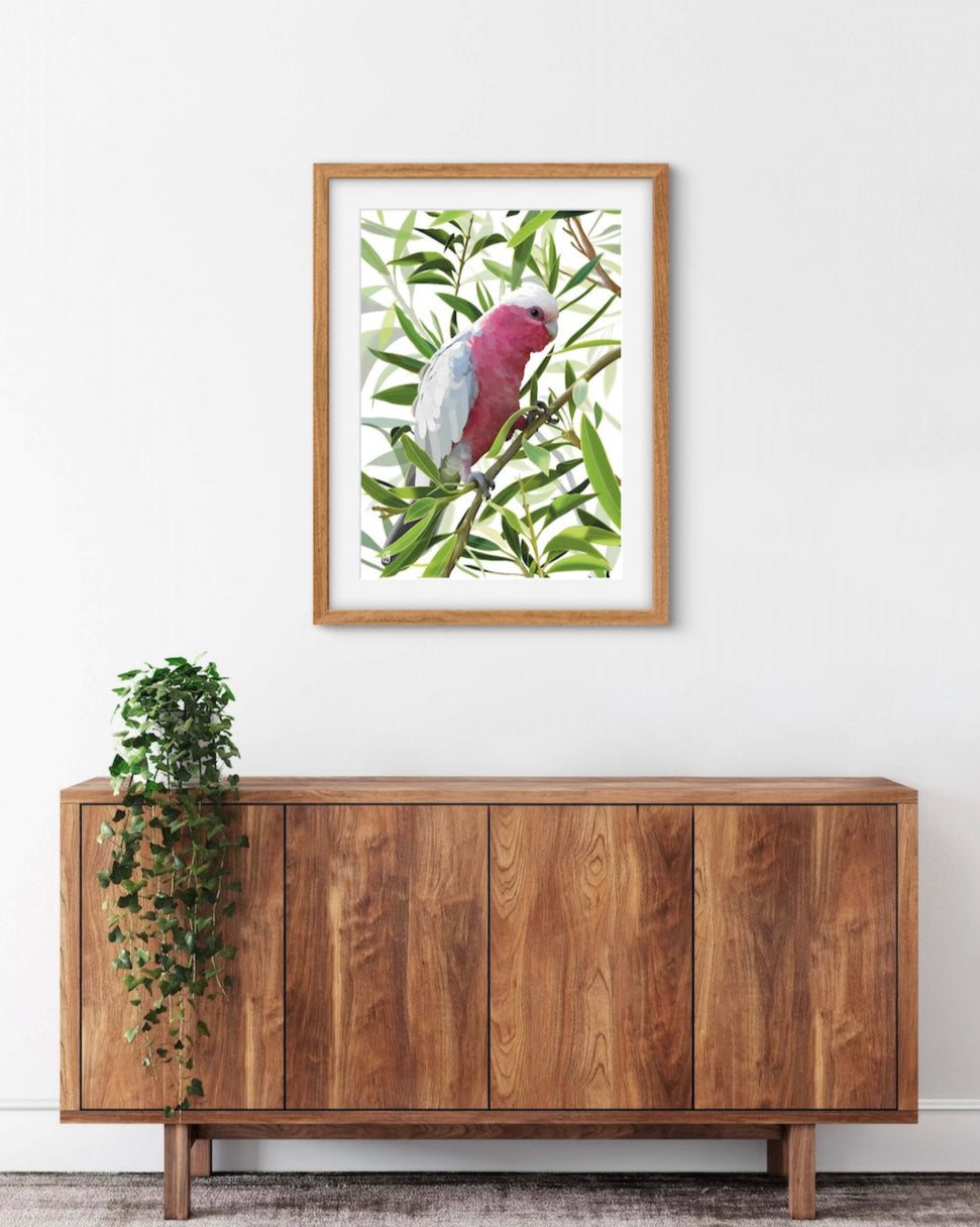 Framed artwork of a galah on a branch above a wooden cabinet.